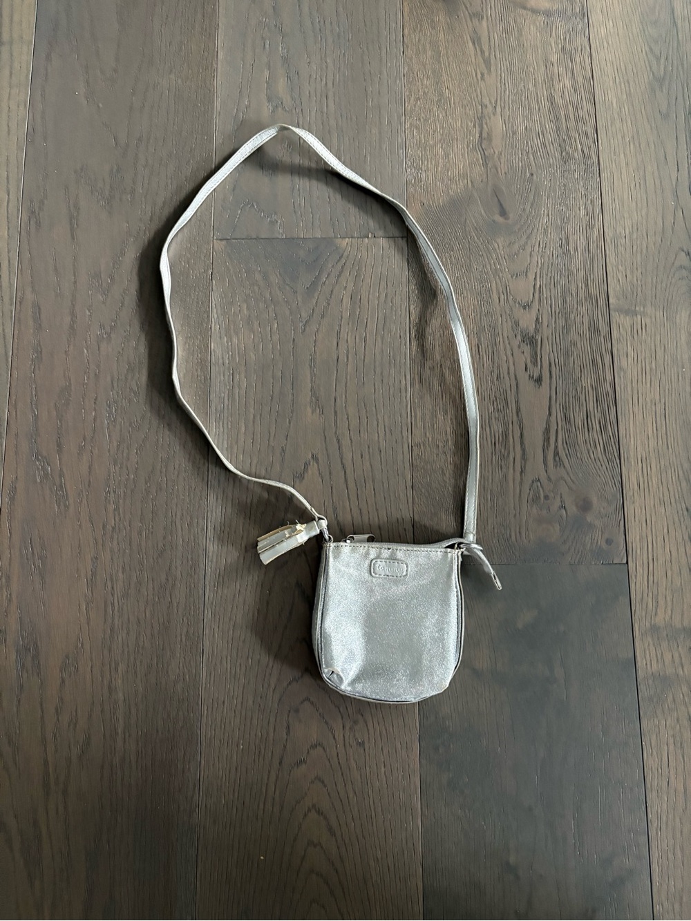 Tommy silver girls purse / crossbody EUC ret $89